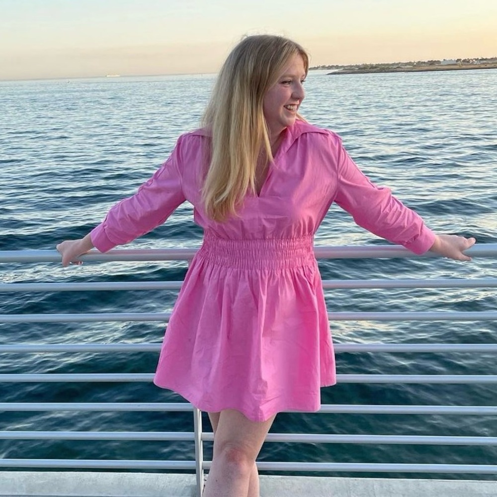 Pink Collared Zara Dress